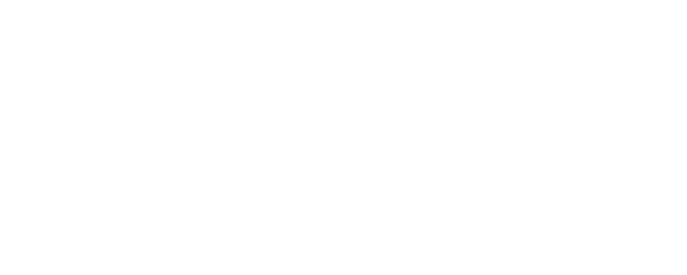 DiCam Strategic Solutions | We Create Sustainable Social Impact